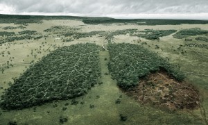 GREEN COMMUNICATIONS